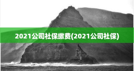 2021公司社保缴费(2021公司社保)