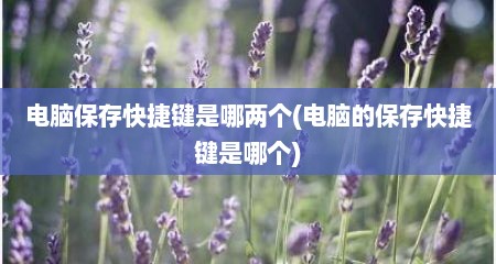 电脑保存快捷键是哪两个(电脑的保存快捷键是哪个)