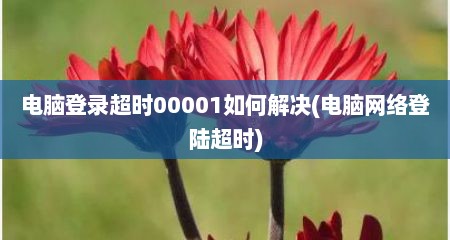 电脑登录超时00001如何解决(电脑网络登陆超时)