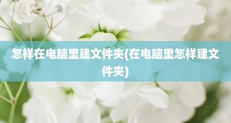 怎样在电脑里建文件夹(在电脑里怎样建文件夹)