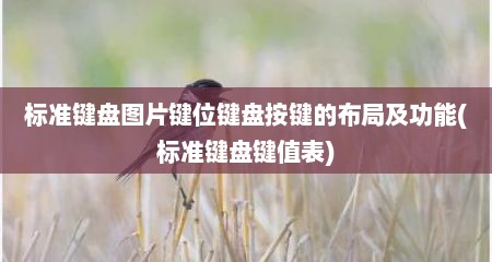 标准键盘图片键位键盘按键的布局及功能(标准键盘键值表)