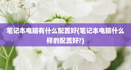 笔记本电脑有什么配置好(笔记本电脑什么样的配置好?)