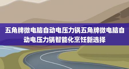 五角牌微电脑自动电压力锅五角牌微电脑自动电压力锅智能化烹饪新选择