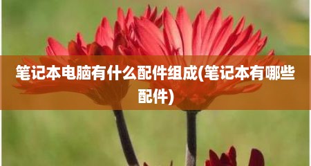 笔记本电脑有什么配件组成(笔记本有哪些配件)