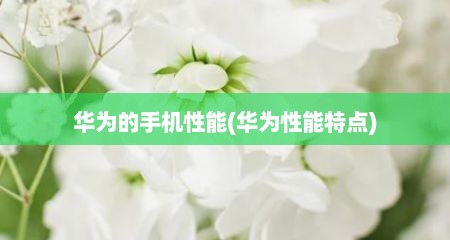 华为的手机性能(华为性能特点)