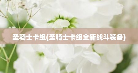 圣骑士卡组(圣骑士卡组全新战斗装备)