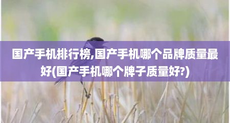 国产手机排行榜,国产手机哪个品牌质量最好(国产手机哪个牌子质量好?)