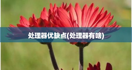 处理器优缺点(处理器有啥)