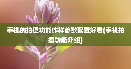 手机的拍摄功能咋样参数配置好看(手机拍摄功能介绍)