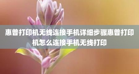 惠普打印机无线连接手机详细步骤惠普打印机怎么连接手机无线打印