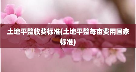 土地平整收费标准(土地平整每亩费用国家标准)