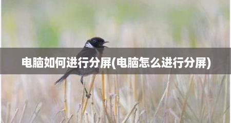 电脑如何进行分屏(电脑怎么进行分屏)