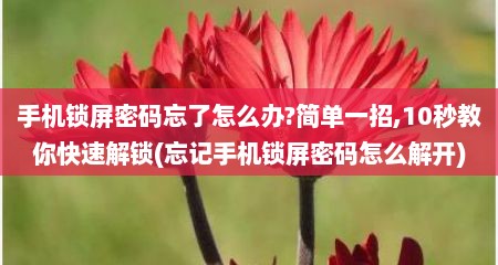 手机锁屏密码忘了怎么办?简单一招,10秒教你快速解锁(忘记手机锁屏密码怎么解开)