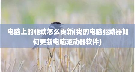 电脑上的驱动怎么更新(我的电脑驱动器如何更新电脑驱动器软件)