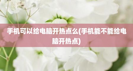 手机可以给电脑开热点么(手机能不能给电脑开热点)