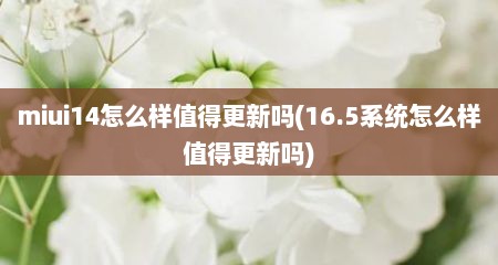 miui14怎么样值得更新吗(16.5系统怎么样值得更新吗)