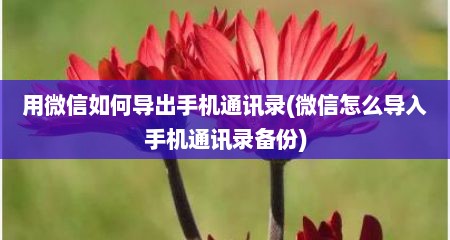 用微信如何导出手机通讯录(微信怎么导入手机通讯录备份)