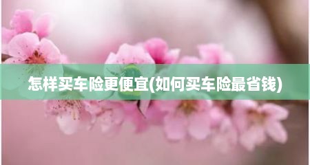 怎样买车险更便宜(如何买车险最省钱)