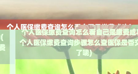 个人医保缴费查询怎么看自己是缴费成功(个人医保缴费查询步骤怎么查医保是否交费了呢)