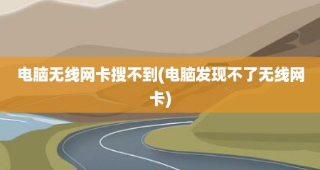 电脑无线网卡搜不到(电脑发现不了无线网卡)