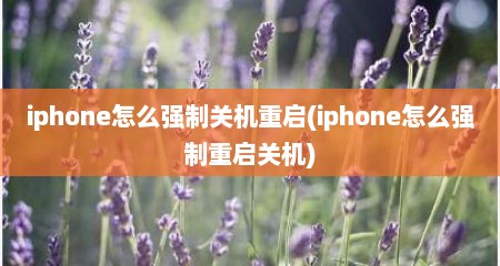 iphone怎么强制关机重启(iphone怎么强制重启关机)