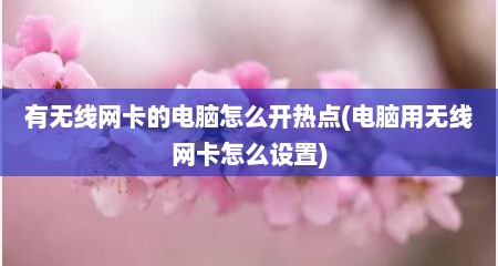 有无线网卡的电脑怎么开热点(电脑用无线网卡怎么设置)