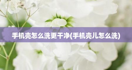 手机壳怎么洗更干净(手机壳儿怎么洗)