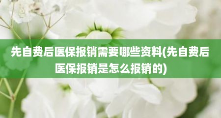 先自费后医保报销需要哪些资料(先自费后医保报销是怎么报销的)