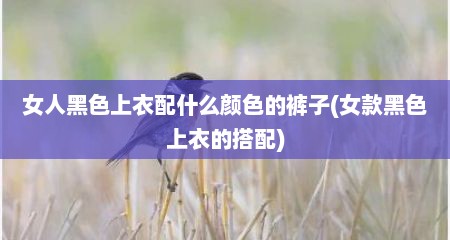 女人黑色上衣配什么颜色的裤子(女款黑色上衣的搭配)