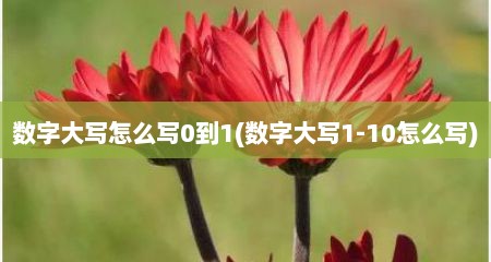 数字大写怎么写0到1(数字大写1-10怎么写)