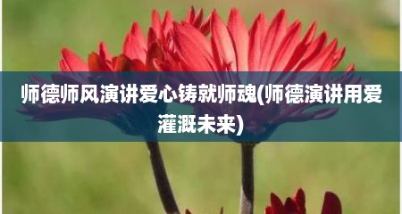 师德师风演讲爱心铸就师魂(师德演讲用爱灌溉未来)