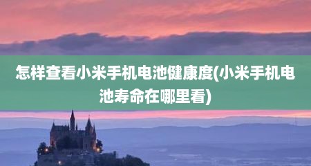 怎样查看小米手机电池健康度(小米手机电池寿命在哪里看)