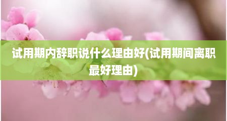 试用期内辞职说什么理由好(试用期间离职最好理由)