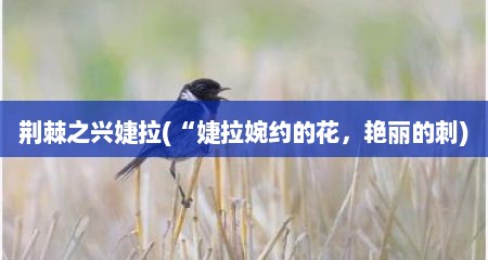 荆棘之兴婕拉(“婕拉婉约的花，艳丽的刺)