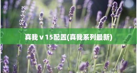 真我ⅴ15配置(真我系列最新)