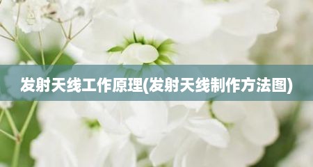 发射天线工作原理(发射天线制作方法图)