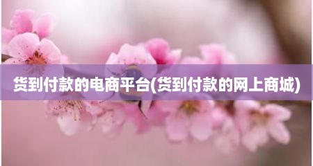 货到付款的电商平台(货到付款的网上商城)