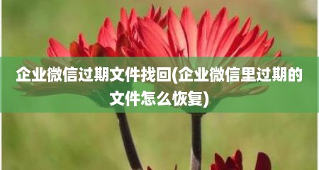 企业微信过期文件找回(企业微信里过期的文件怎么恢复)