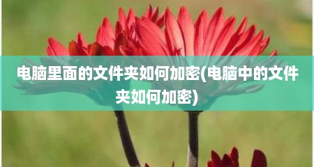 电脑里面的文件夹如何加密(电脑中的文件夹如何加密)