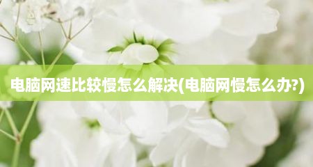 电脑网速比较慢怎么解决(电脑网慢怎么办?)