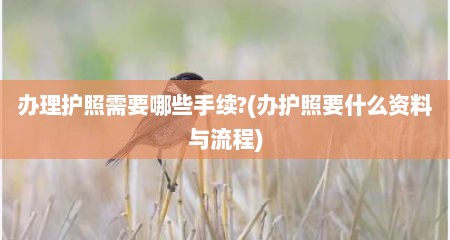 办理护照需要哪些手续?(办护照要什么资料与流程)