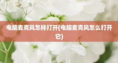 电脑麦克风怎样打开(电脑麦克风怎么打开它)