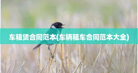 车租赁合同范本(车辆租车合同范本大全)