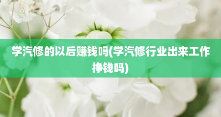 学汽修的以后赚钱吗(学汽修行业出来工作挣钱吗)