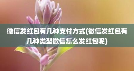 微信发红包有几种支付方式(微信发红包有几种类型微信怎么发红包呢)