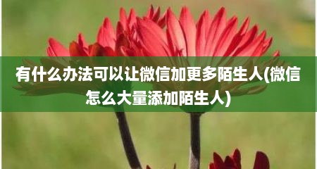 有什么办法可以让微信加更多陌生人(微信怎么大量添加陌生人)