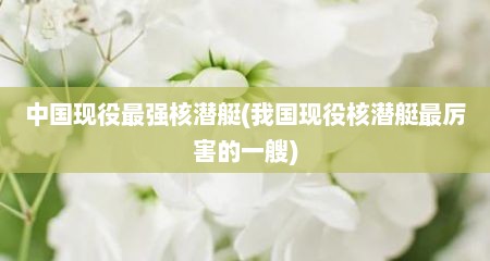 中国现役最强核潜艇(我国现役核潜艇最厉害的一艘)