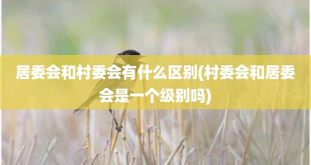 居委会和村委会有什么区别(村委会和居委会是一个级别吗)