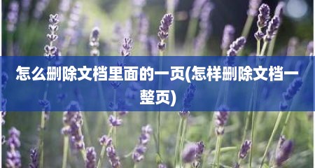 怎么删除文档里面的一页(怎样删除文档一整页)