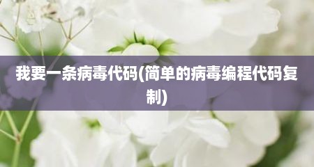 我要一条病毒代码(简单的病毒编程代码复制)